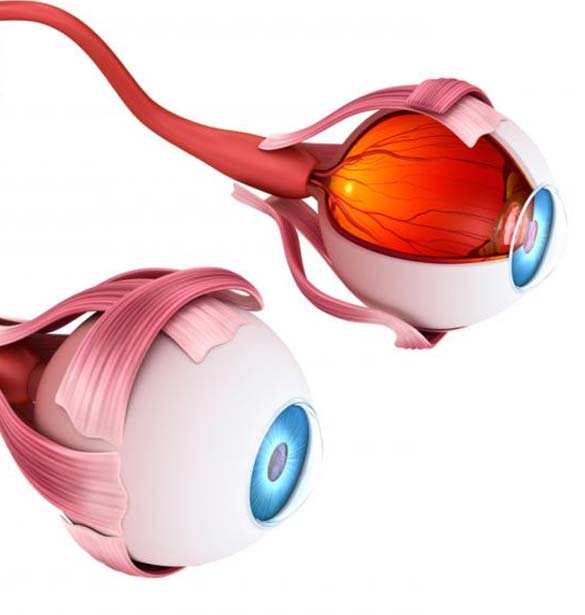 Macular Degeneration Treatment Top Ophthalmologists in Forest Hills