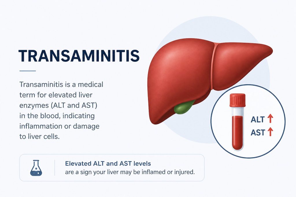 Transaminitis: Symptoms, Causes, and When to See a Doctor